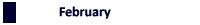 Daily Insight Febuary 2010
