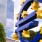 European Union sign