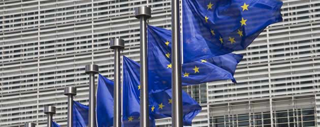 European Union flags